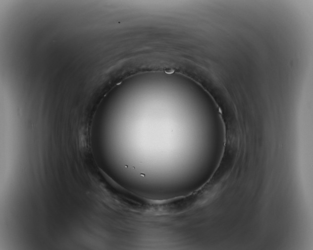 X0000086801490200704201853