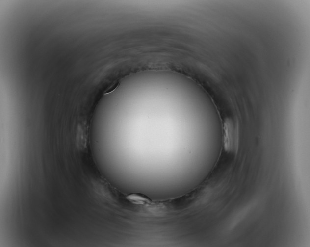 X0000086801491200704201853