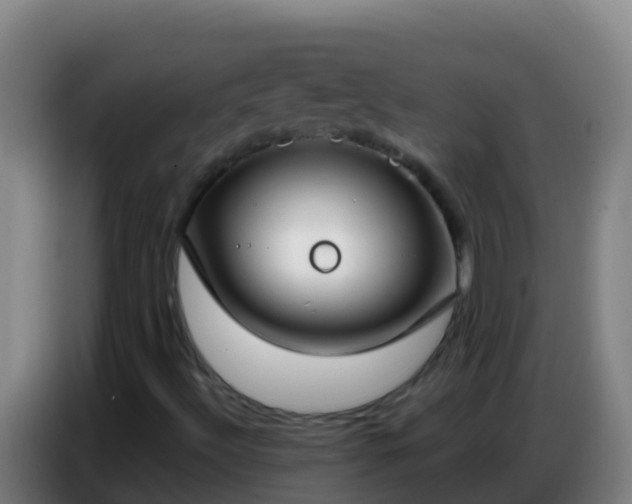 X0000086801492200704201853