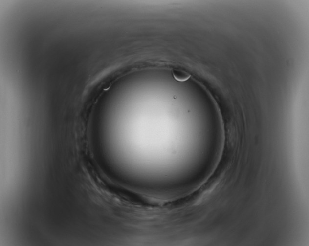 X0000086801494200704201853