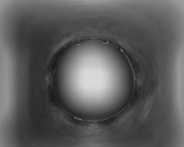 X0000086801495200704201853