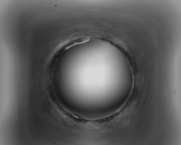 X0000086801496200704201853