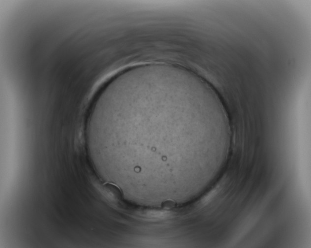 X0000086801498200704201853
