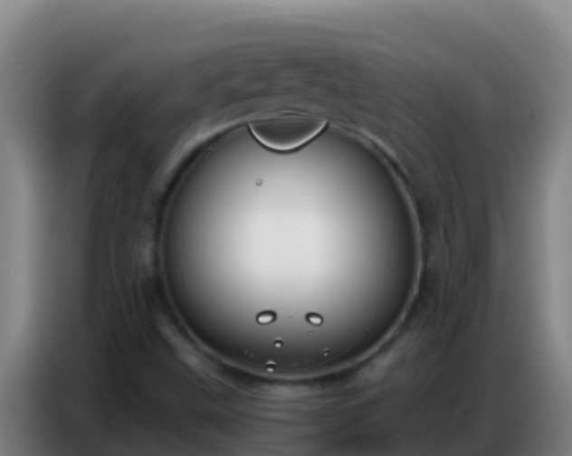X0000086801499200704201853
