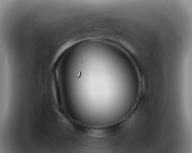 X0000086801501200704201853
