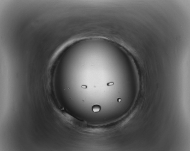 X0000086801502200704201853