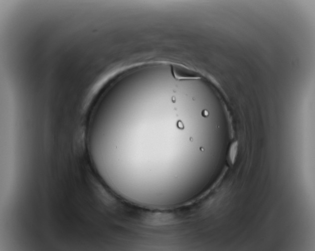 X0000086801503200704201853