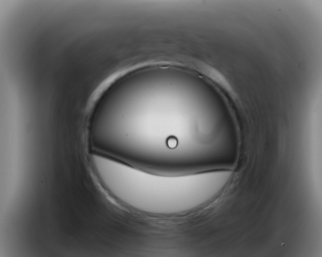 X0000086801504200704201853