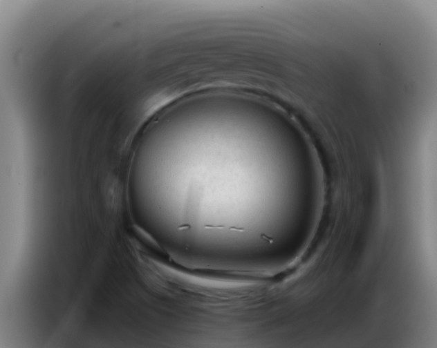 X0000086801505200704201853