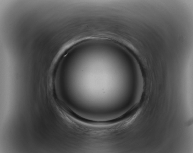 X0000086801506200704201853