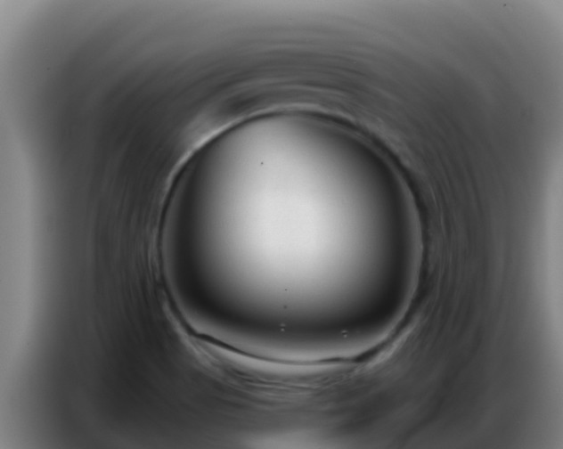 X0000086801513200704201853