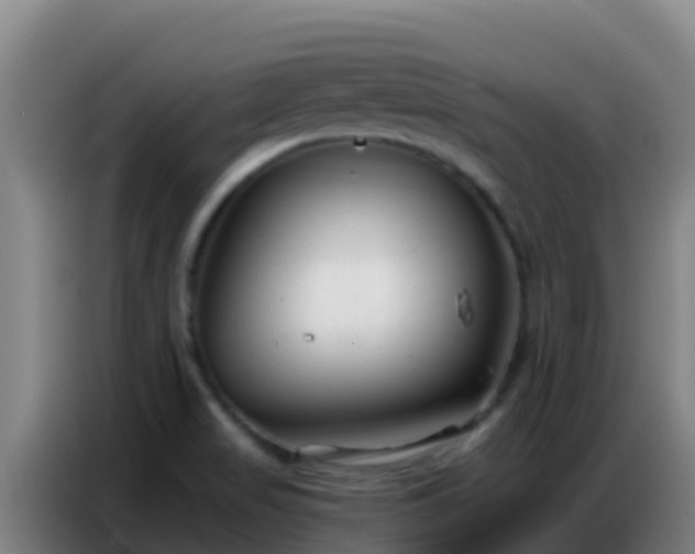 X0000086801517200704201853