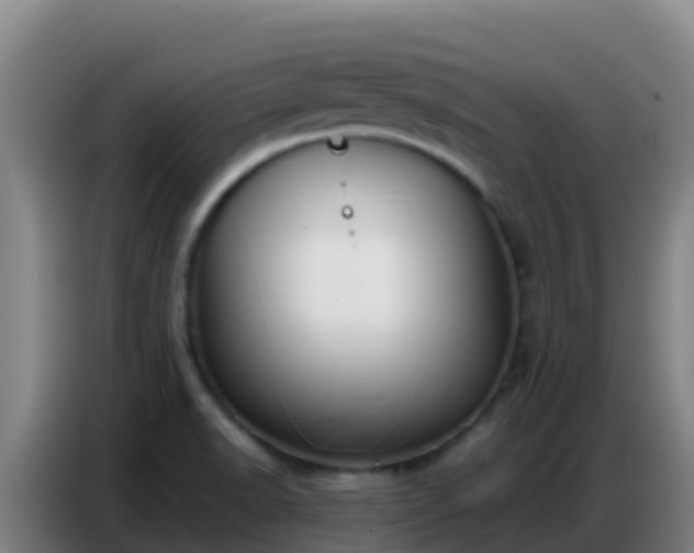 X0000086801518200704201853