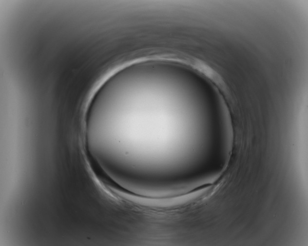 X0000086801520200704201853