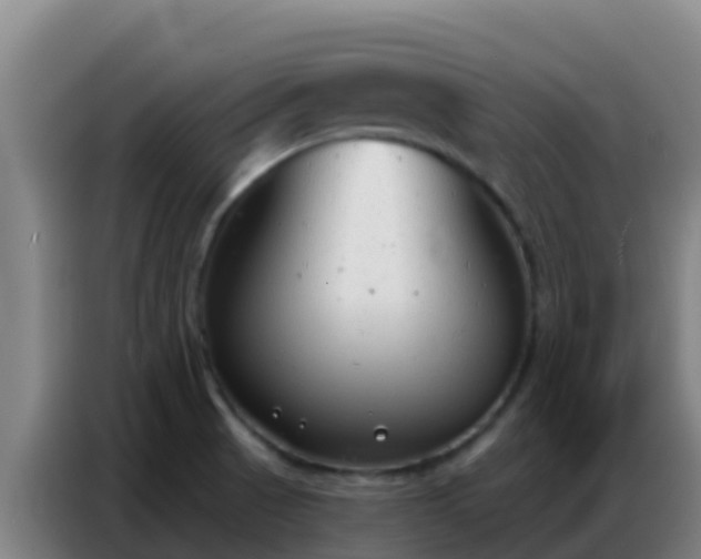 X0000086801521200704201853