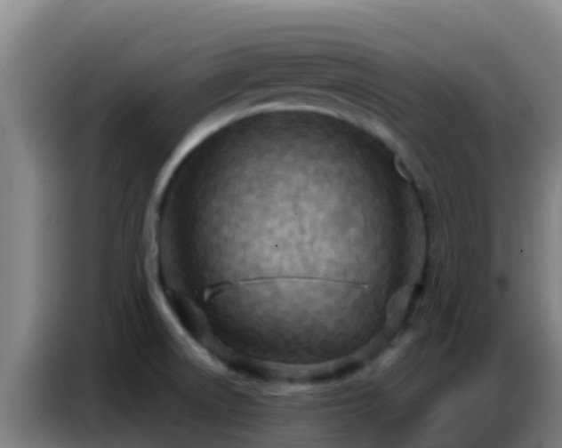 X0000086801522200704201853