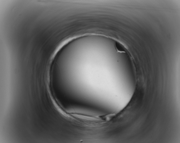 X0000086801523200704201853