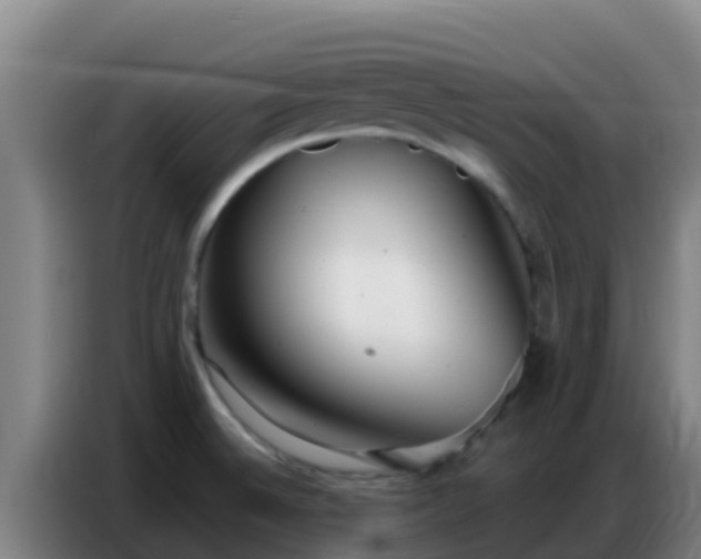 X0000086801524200704201853