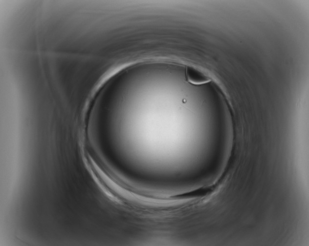 X0000086801525200704201853