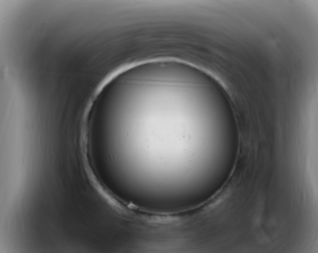 X0000086801526200704201853