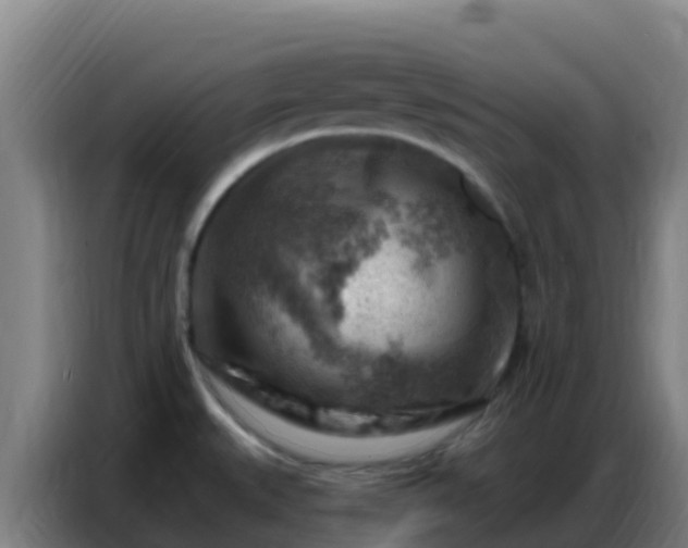 X0000086801527200704201853