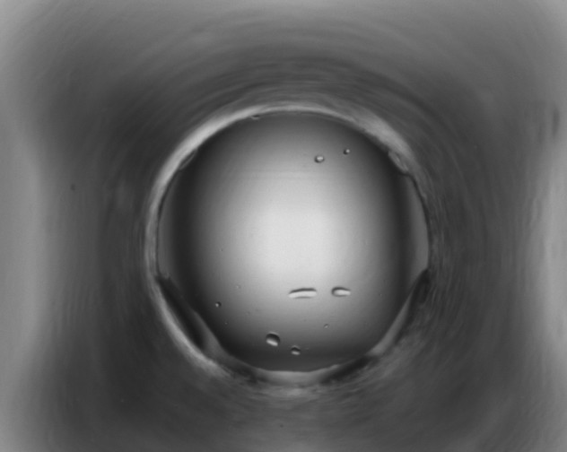 X0000086801528200704201853