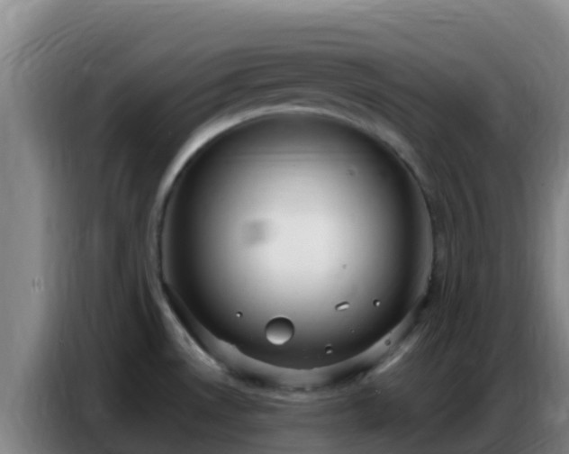 X0000086801530200704201853
