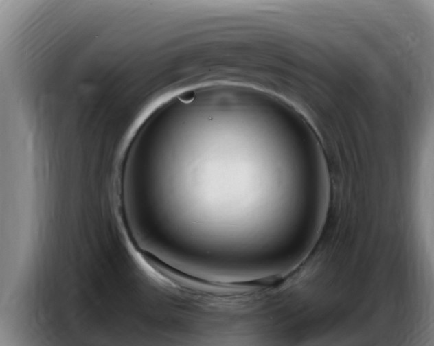 X0000086801531200704201853