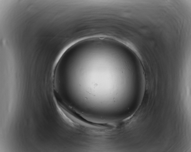 X0000086801532200704201853