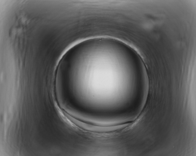 X0000086801534200704201853