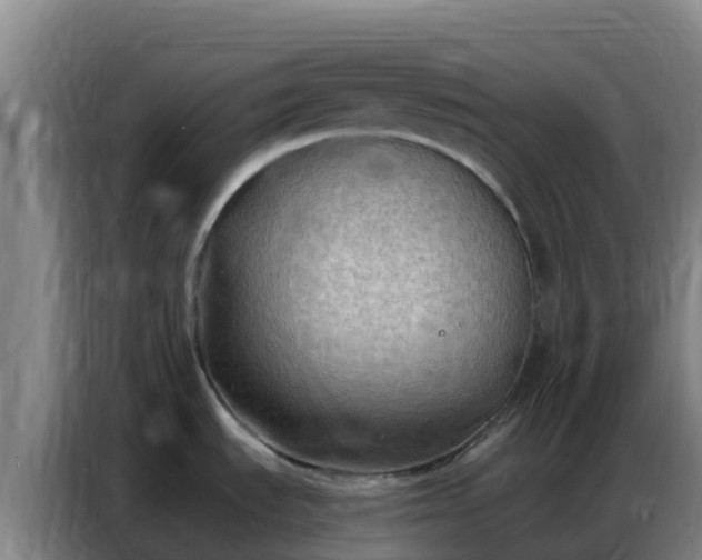 X0000086801535200704201853