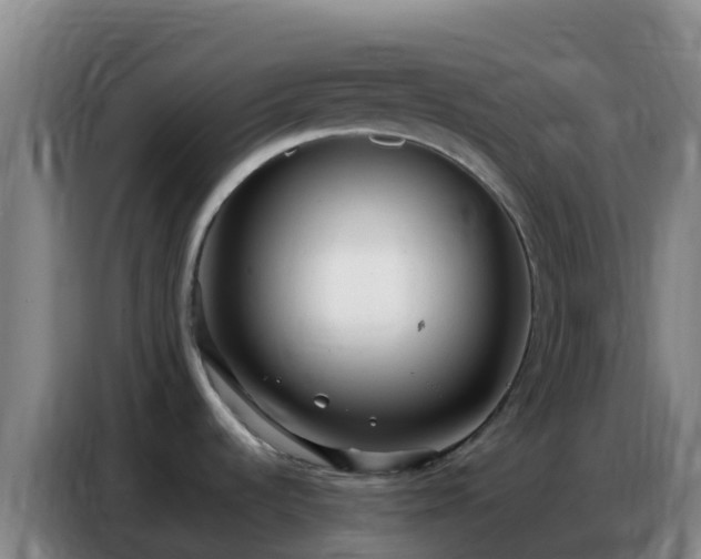 X0000086801536200704201853