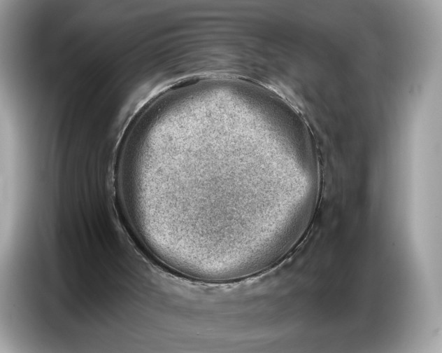 X0000086800002200704271859