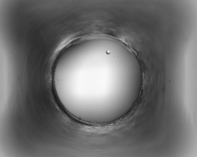 X0000086800005200704271859