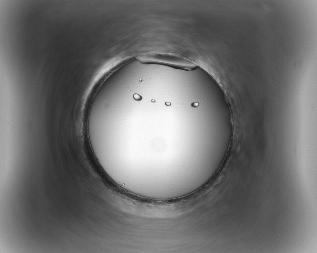 X0000086800008200704271859