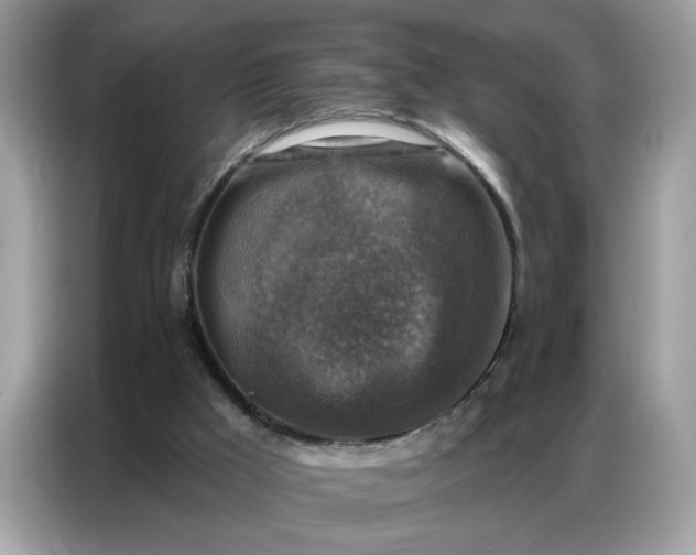 X0000086800009200704271859