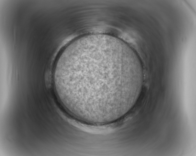 X0000086800012200704271859