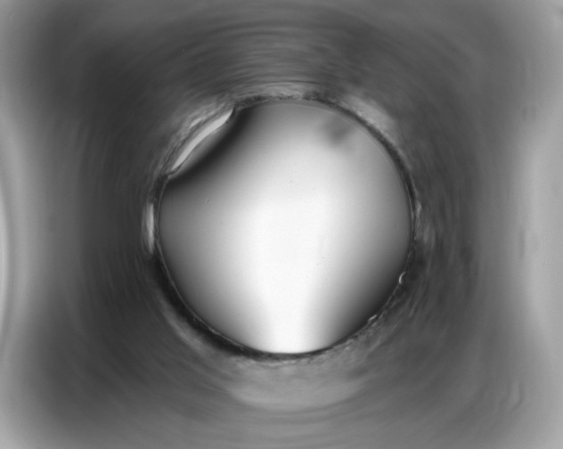 X0000086800013200704271859