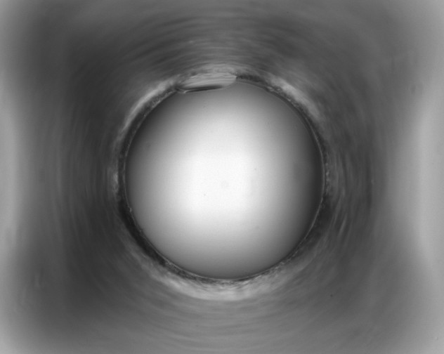 X0000086800015200704271859