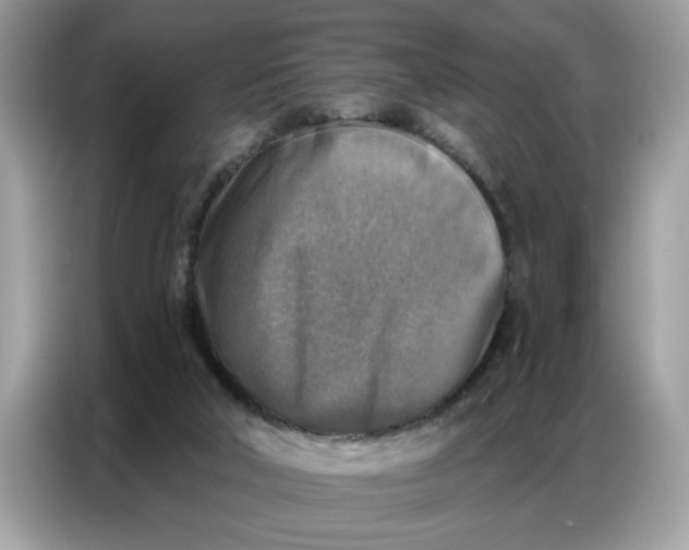 X0000086800018200704271859