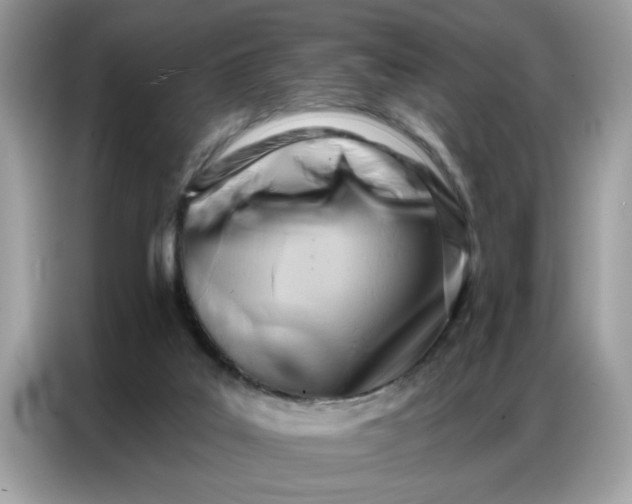 X0000086800019200704271859