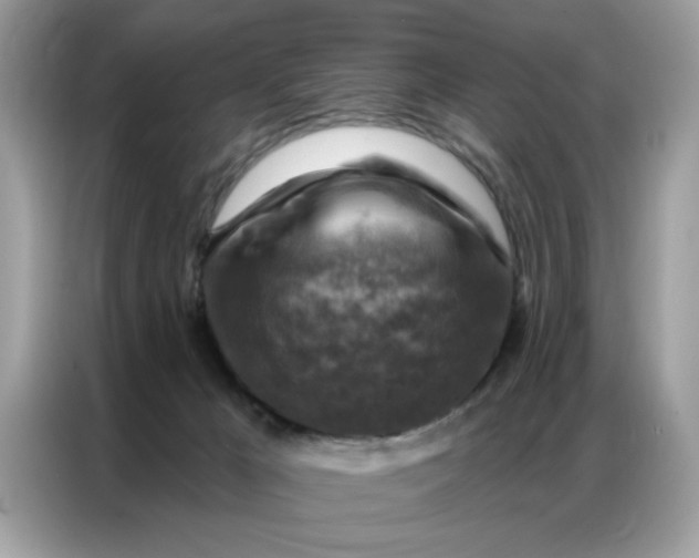 X0000086800029200704271859