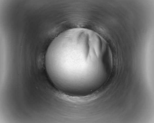 X0000086800030200704271859