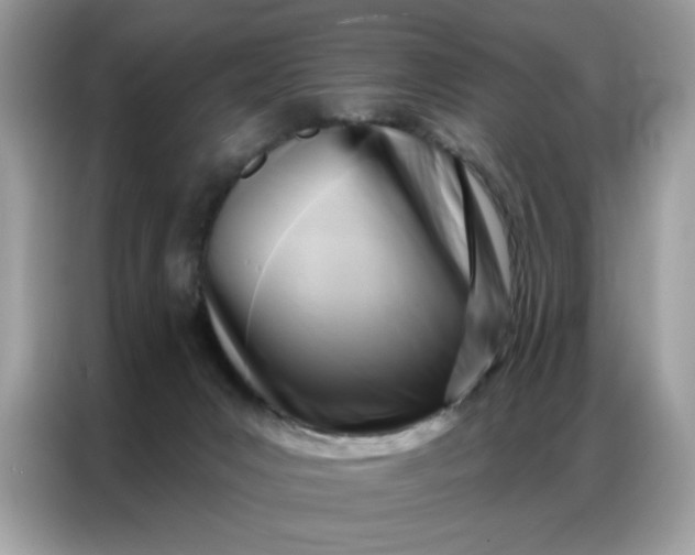 X0000086800031200704271859