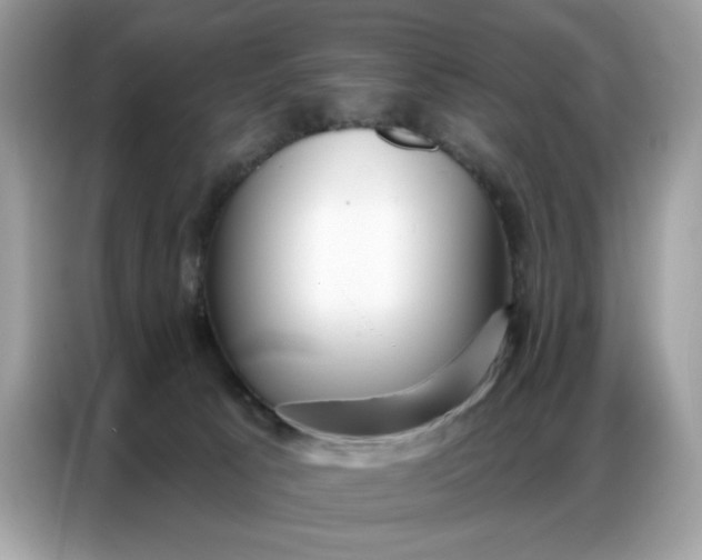 X0000086800033200704271859