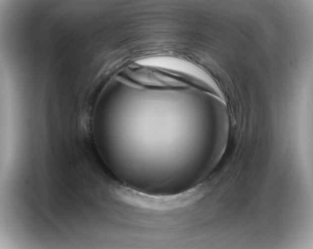 X0000086800035200704271859