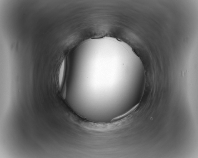 X0000086800037200704271859