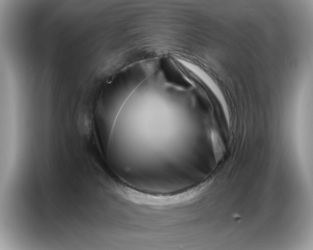 X0000086800039200704271859