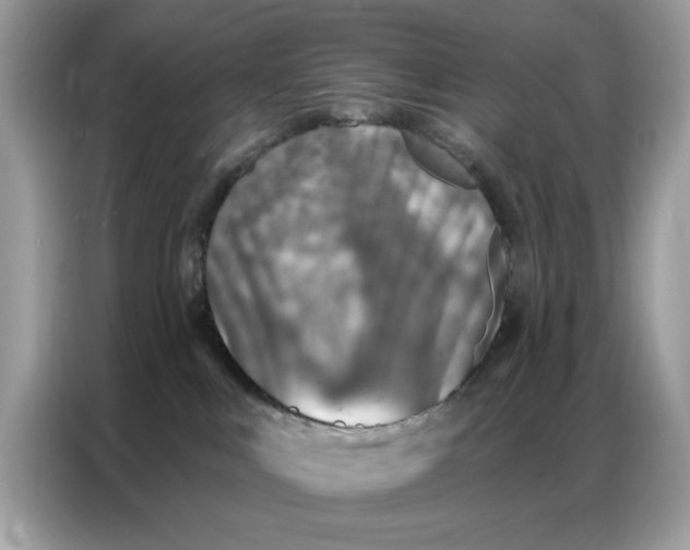 X0000086800043200704271859