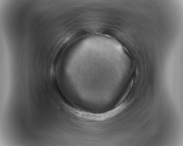 X0000086800048200704271859